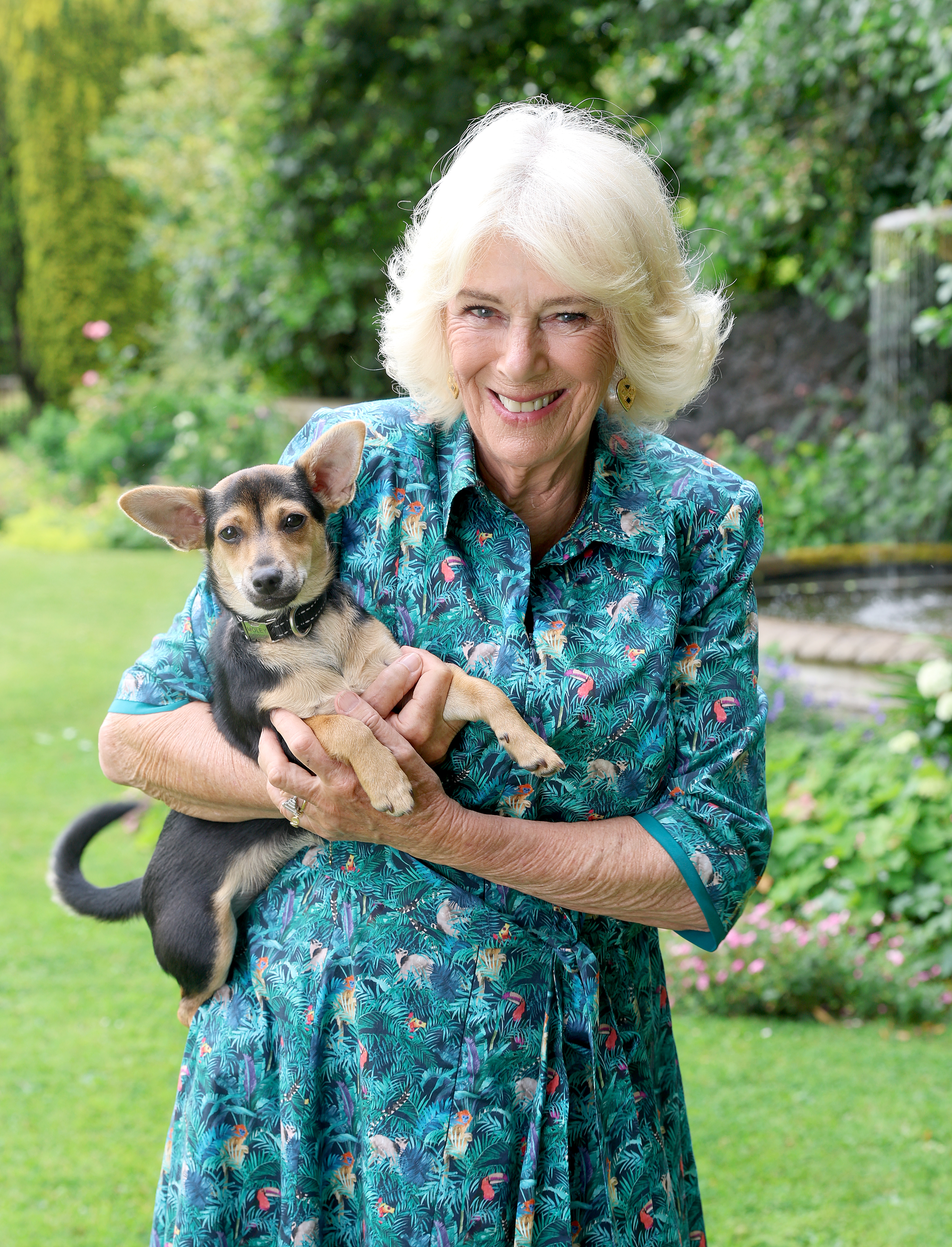 Queen Camilla holds her puppy and meets a tiny dog at Battersea