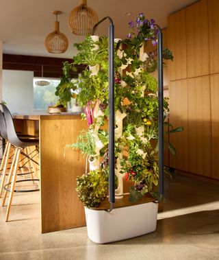 Gardyn hydroponic growing system