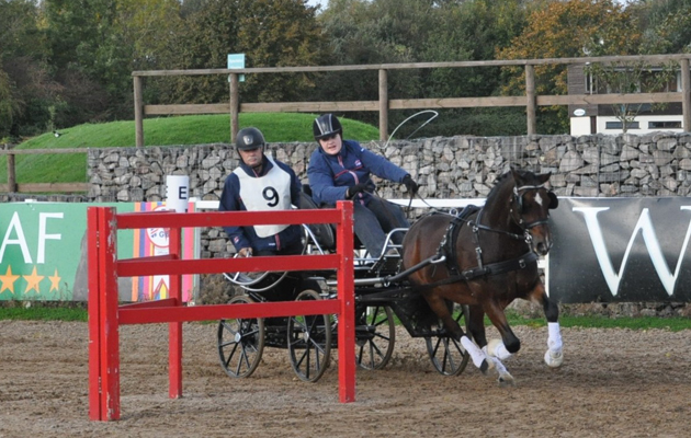 Mr J flying obstacles