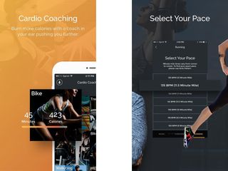 FitRadio (Android, iOS: $3.99 per month)