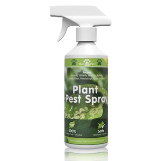 Plant pest spray - Amazon