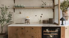 A kitchen with a potted olive tree in a large grey planter