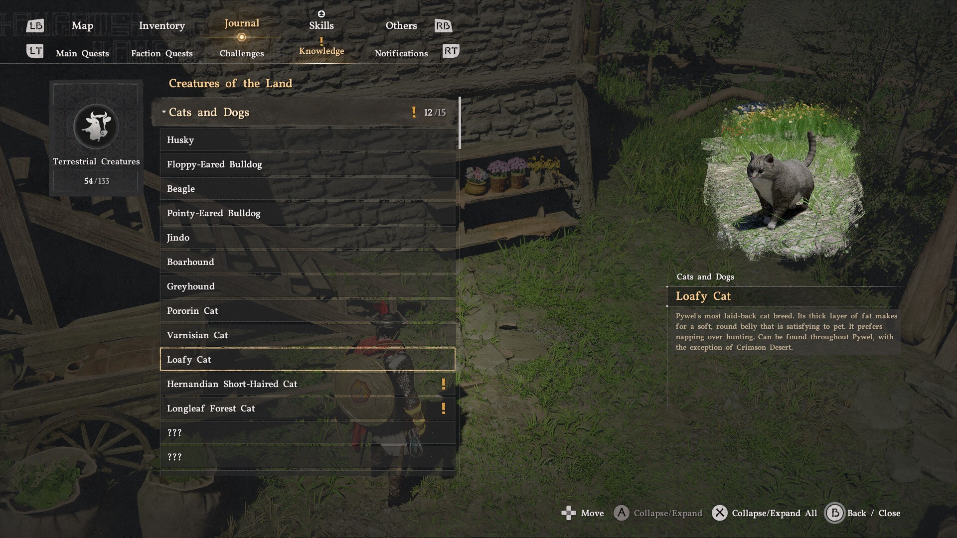 Crimson Desert Knowledge menu showing "fat cats" have been re-named "loafy cats"
