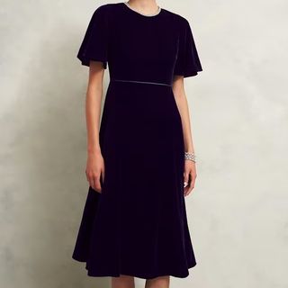 Hobbs Velvet Embellished Dress