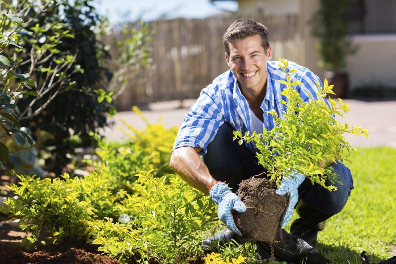 transplanting