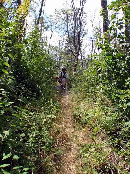 Wolf Ridge trailwork
