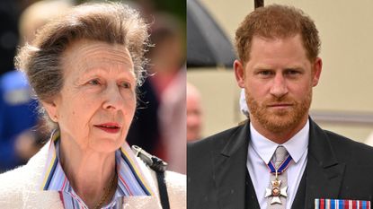 It's claimed Princess Anne is "absolutely furious" with Prince Harry. Seen here are Princess Anne and Prince Harry side-by-side at different occasions