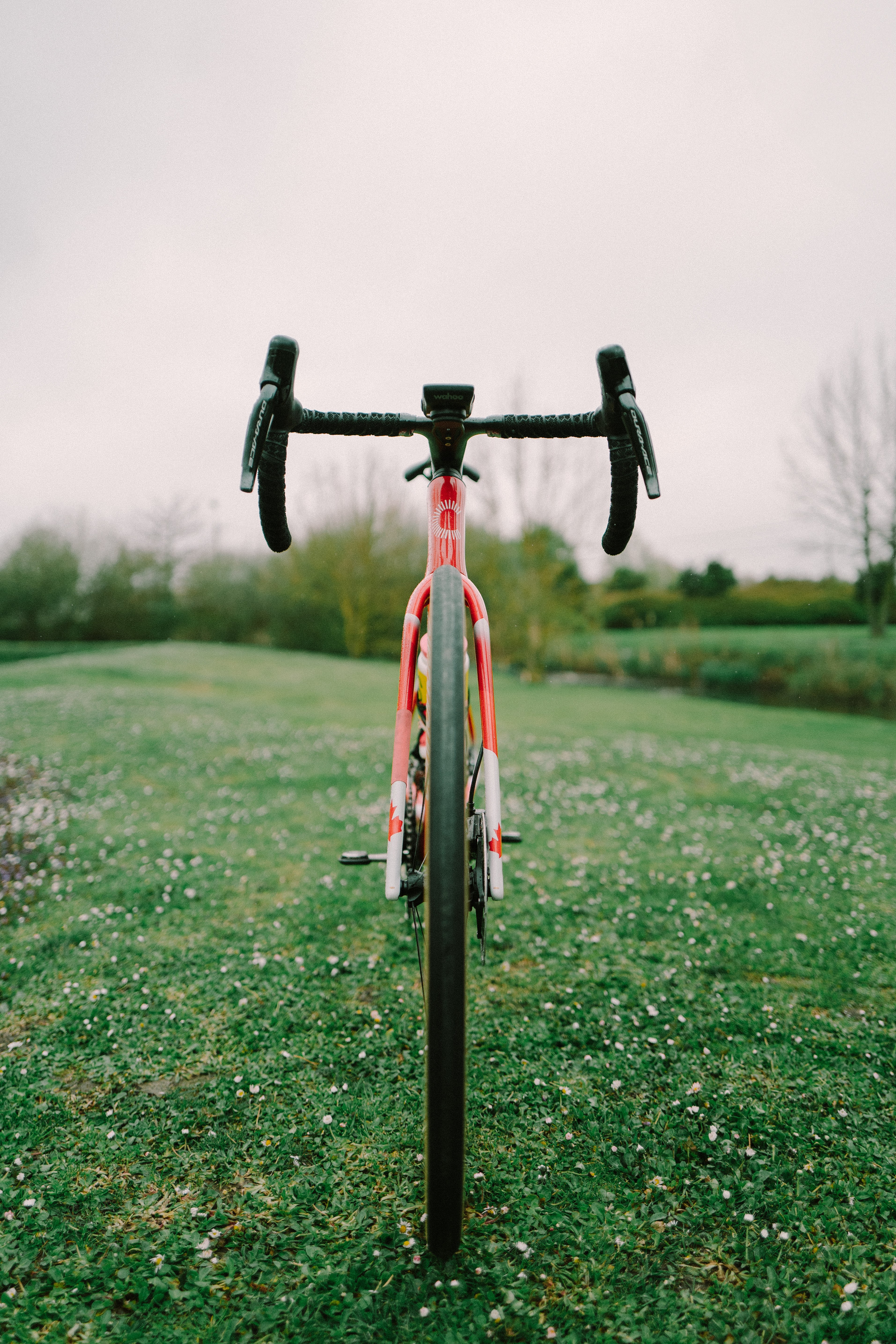Le vélo Roubaix d'Alison Jackson