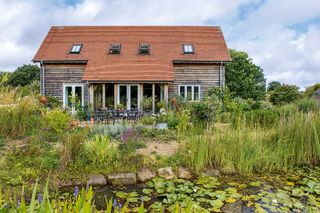 eco landscaping ideas: wild garden with pond