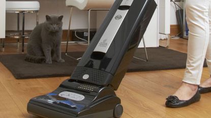 The SEBO AUTOMATIC X4 BOOST UPRIGHT vacuum on hardfloors with a cat nearby