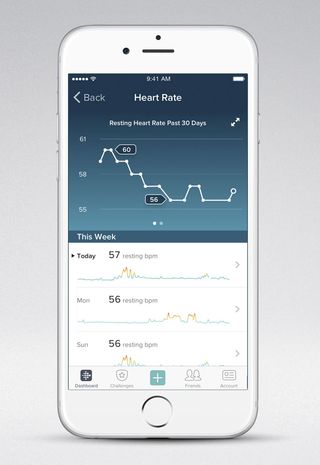 Resting heart rate stats in the Fitbit app