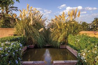 The Beldi Country Club garden in Marrakesh, photographed by Alessio Mei