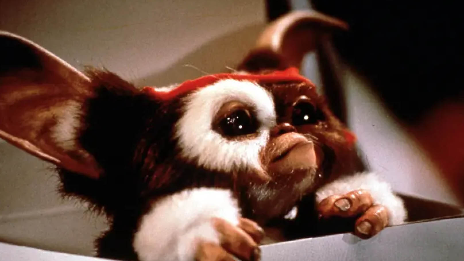 15 Things You (Probably) Didn't Know About Gremlins