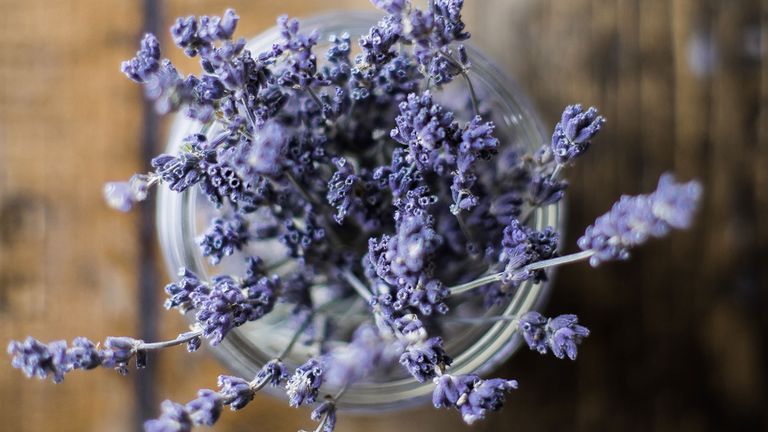 Close up of lavender in a jar