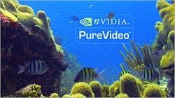 Key features of PureVideo include a dedicated 16-way vector processor that enables HD MPEG2 hardware acceleration while taking processing load off the CPU. The technology also is able to accelerate Microsoft's WMV and HD WMV. PureVideo allows real-time video recording, spatial and temporal adaptive de-interlacing from satellite, cable and DVD feeds, 3:2 pull-down correction and "bad edit" correction, the latter however only for 6800 and 6600 models. Additional functions include "flicker-free" multi-stream scaling, and display Gamma correction.