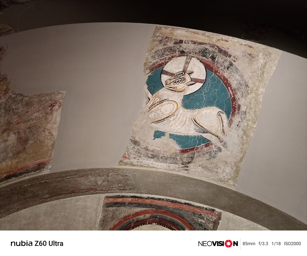 A photo taken on the Nubia Z60 Ultra