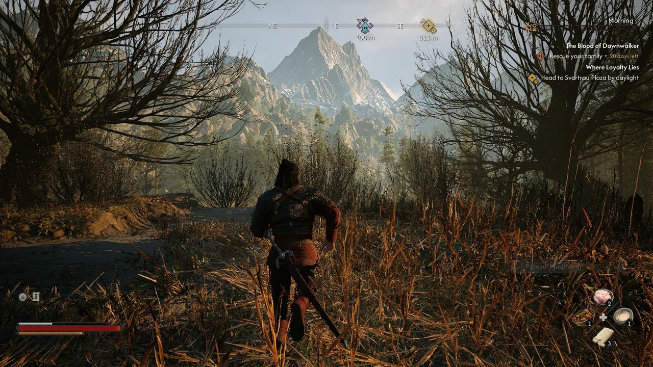 A man runs through the forest