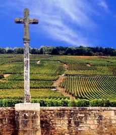 Domaine de la Romanee Conti