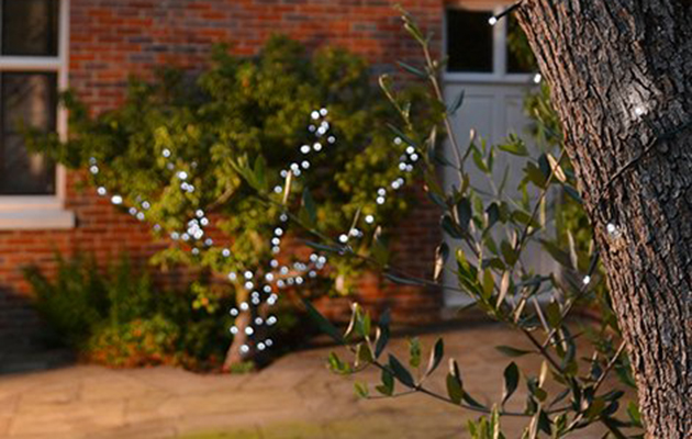 Solar Fairy Lights