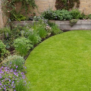 curved border in a garden with neatly cut lawn area and a border filled with flowers and plants, with a raised border at the back of the garden