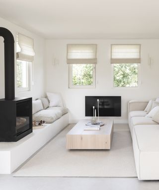 Minimalistic living room with monochromatic furnishings