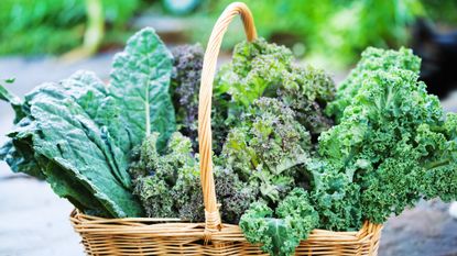 kale varieties in a wicker basket