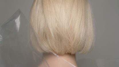 Blonde hair in bob cut photographed by Brigitte Niedermair 