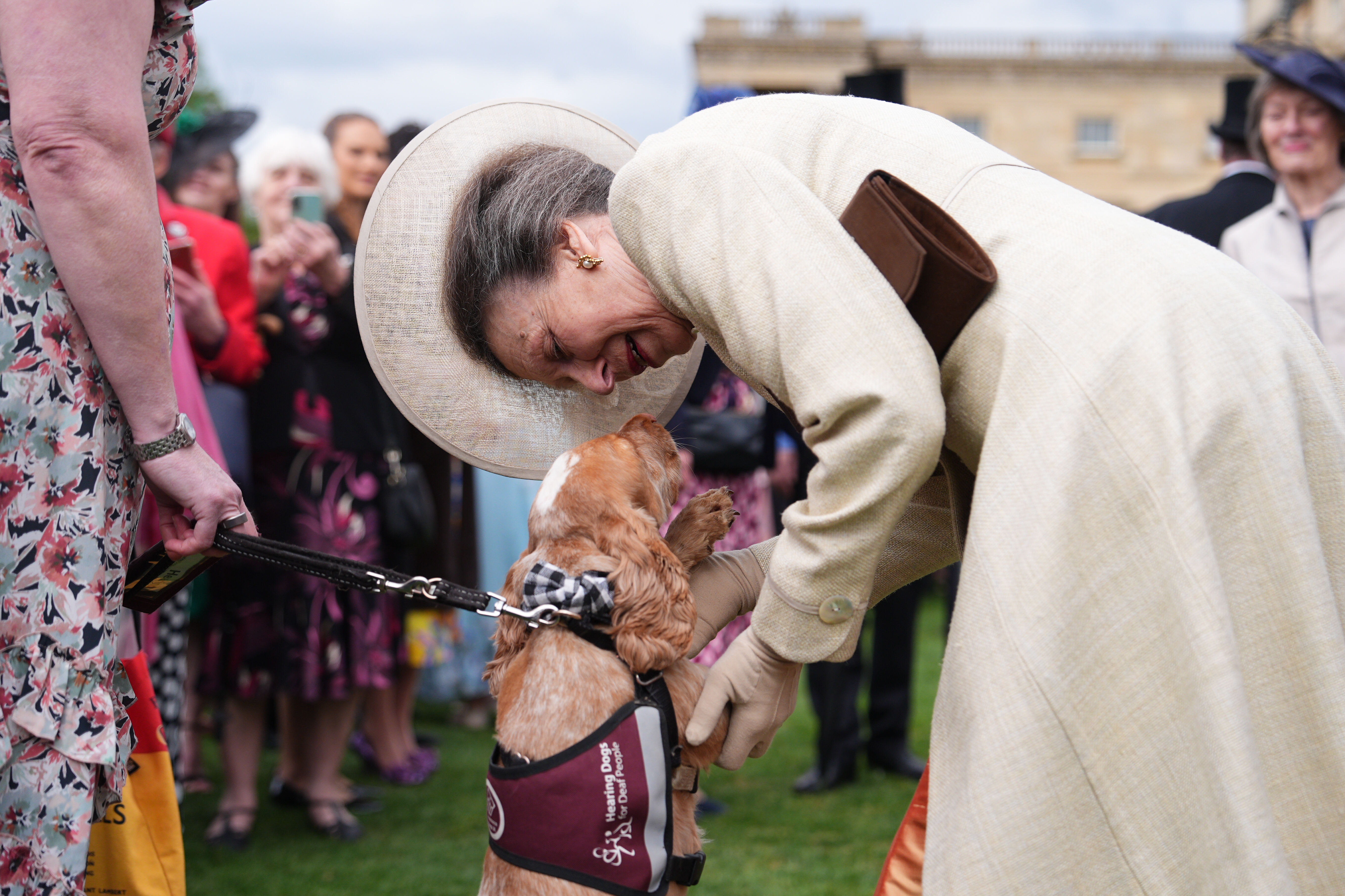 Princess Anne meeting a dog at a garden party