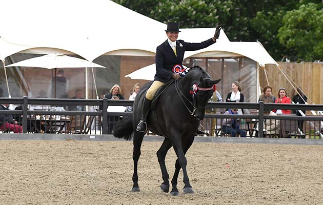 royal windsor horse show winners 2018
