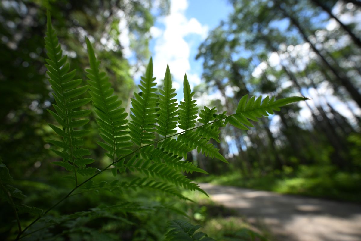 An image taken with the Tamron 12-20mm f/2.8