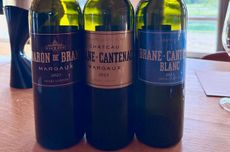 Brane Cantenac, bordeaux 2023