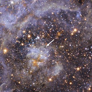 Tarantula Nebula in the Large Magellanic Cloud
