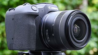 Canon EOS R8 on tripod
