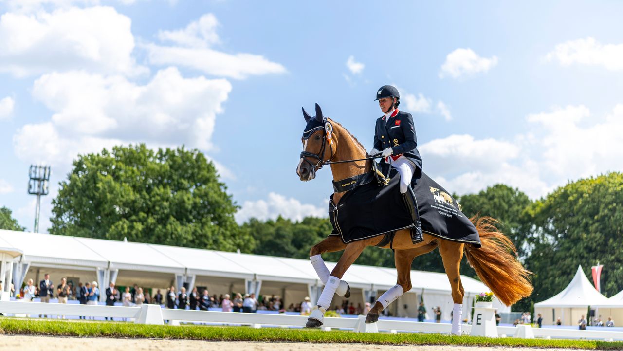 Fiona Bigwood riding Quinn G, winner in the final for 7-year-old horses at the FEI World Championship Young Dressage Horses 2025