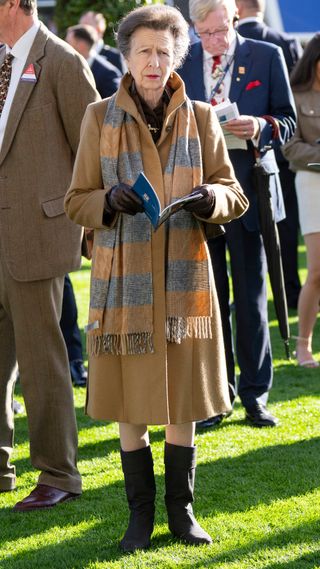 Princess Anne, Princess Royal attends QIPCO British Champions Day at Ascot Racecourse