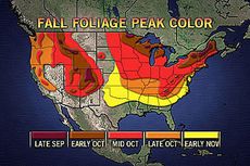 Fall foliage peak colors in U.S.