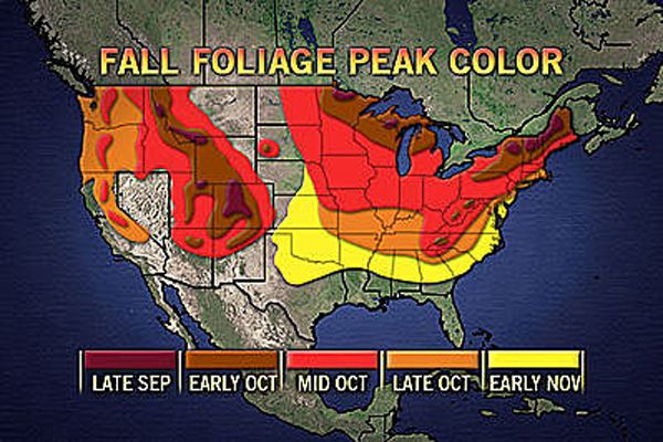 Fall foliage peak colors in U.S.