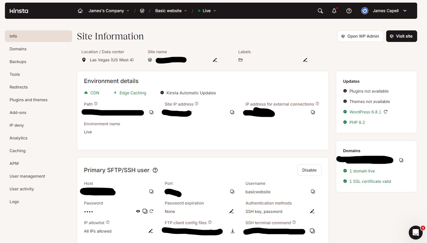 An image of Kinsta's main dashboard