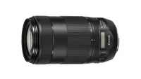 Best Canon telephoto: Canon EF 70-300mm f/4-5.6 IS II USM