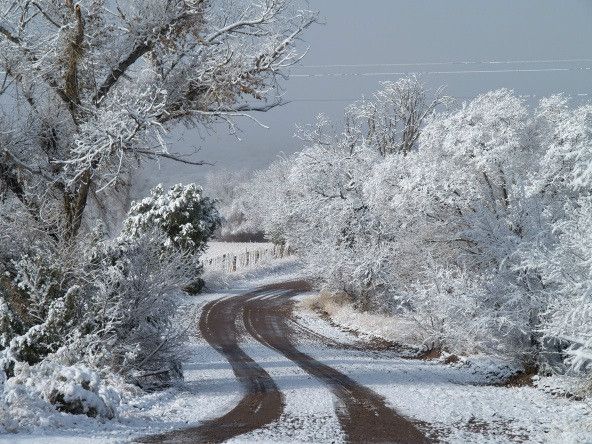 new mexico snow