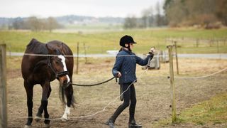 woman leading bay horse through electric fence gate to the field