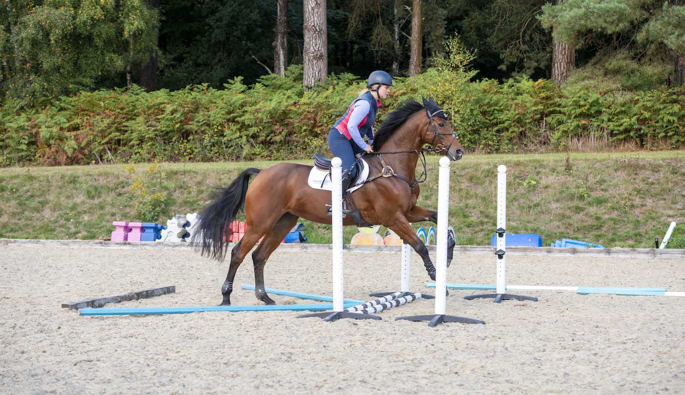Horse cantering down a gridwork line
