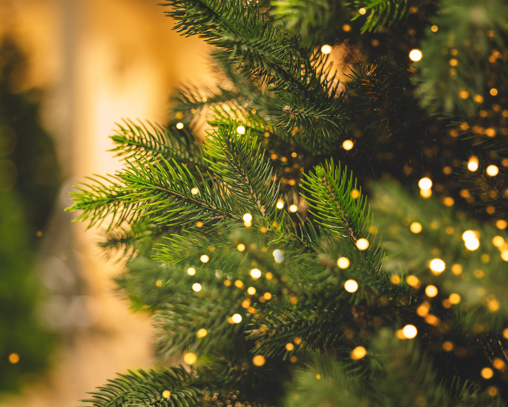 Christmas tree up close with warm lights