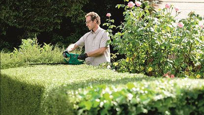 Best hedge trimmer: Bosch AHS Electric Hedge Cutter lifestyle image
