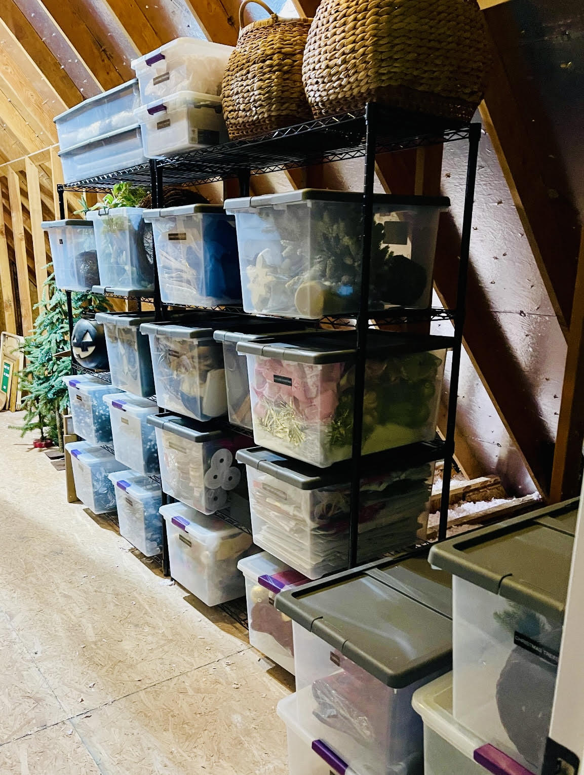 Black attic shelving with clear plastic totes on it.