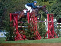 hickstead6.jpg
