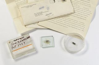 Here, the prototype microchip, up for auction by Christie's, built by Tom Yeargan, a member of the team that implemented Jack Kilby's microchip design for Texas Instruments in 1958. Estimated between $1 million and $2 million, the chip is accompanied by a
