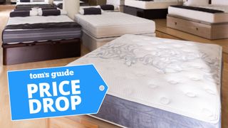 Various mattresses shown in department store