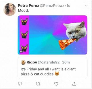 RT featuring picture of a pizza eating cat