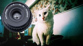 Holga HL-N 60mm f/8 lens with a sample image of a white cat